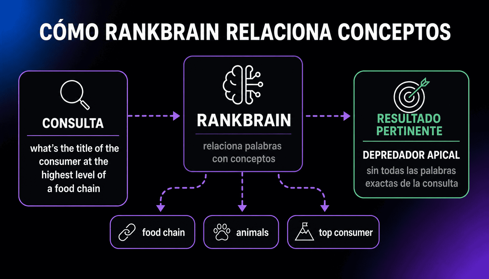 Diagrama en el que RankBrain conecta la consulta «what’s the title of the consumer at the highest level of a food chain» con los conceptos food chain, animals y top consumer para devolver depredador apical sin una coincidencia de palabras exacta.