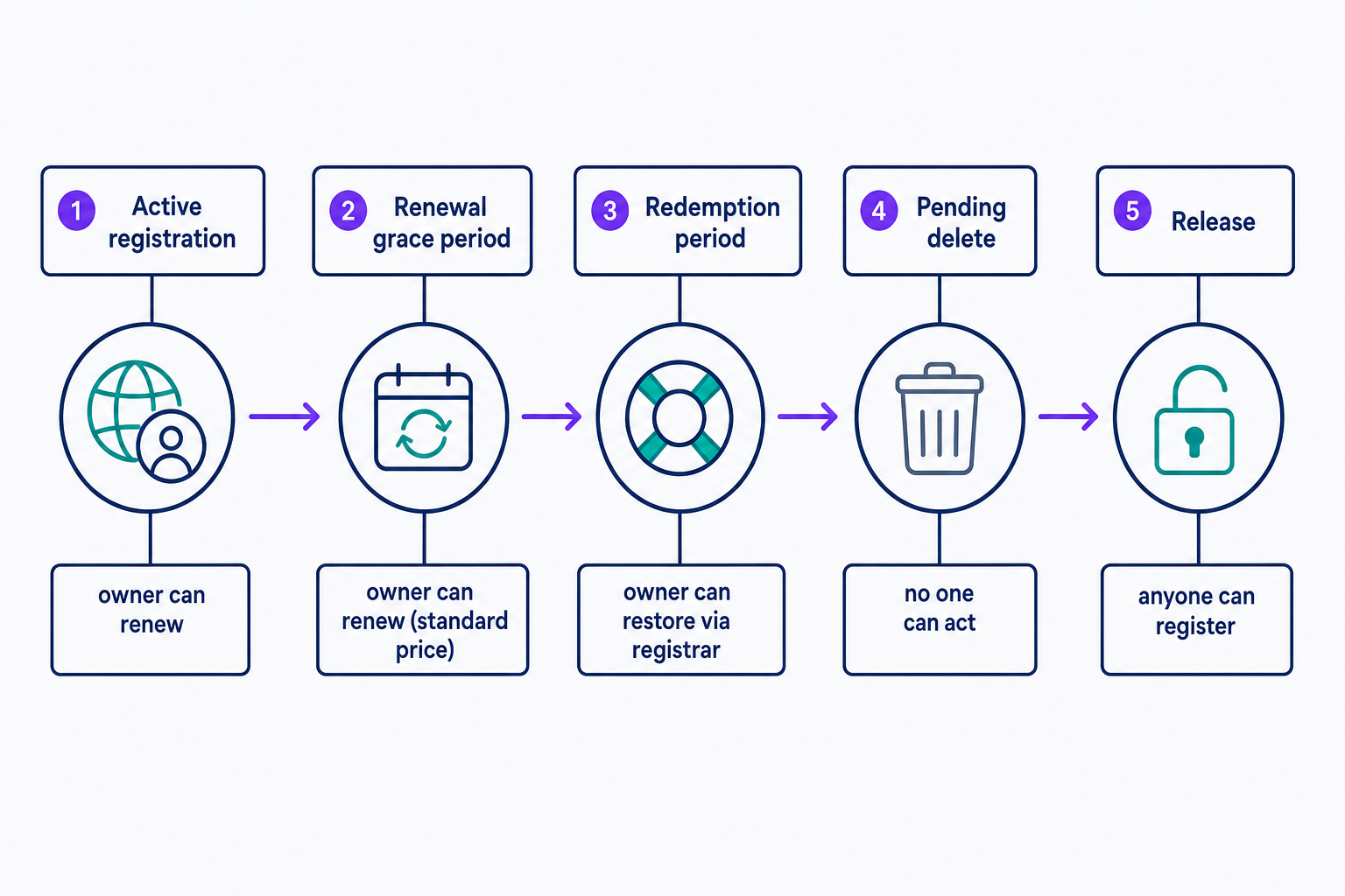 A timeline showing the stages a domain passes through after its registration expires: active registration, then a renewal grace period where the owner can still renew normally, a redemption period where only the original owner can restore it through their registrar, a pending-delete stage where no one can act, and finally release, when anyone can register the name. The owner's recovery options narrow at each stage until the name drops.