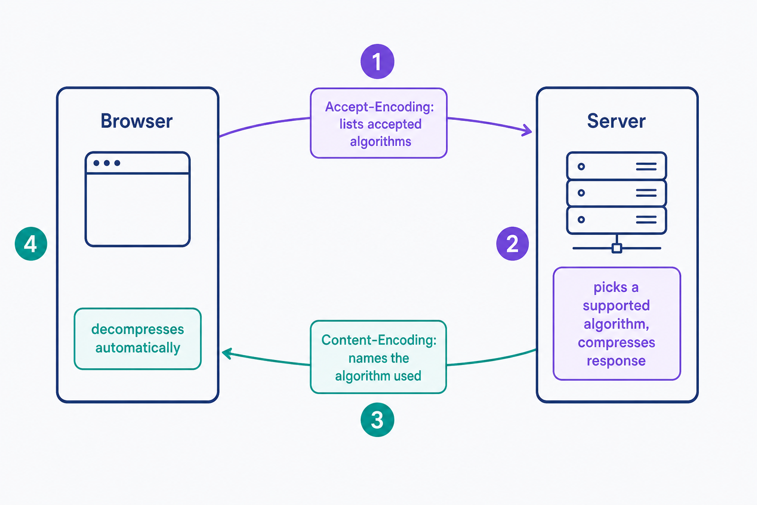 Flow diagram of HTTP compression negotiation: the browser sends a request whose Accept-Encoding header lists the algorithms it accepts, the server picks one it supports and compresses the response, the response returns with a Content-Encoding header naming the algorithm, and the browser decompresses the file automatically on arrival.