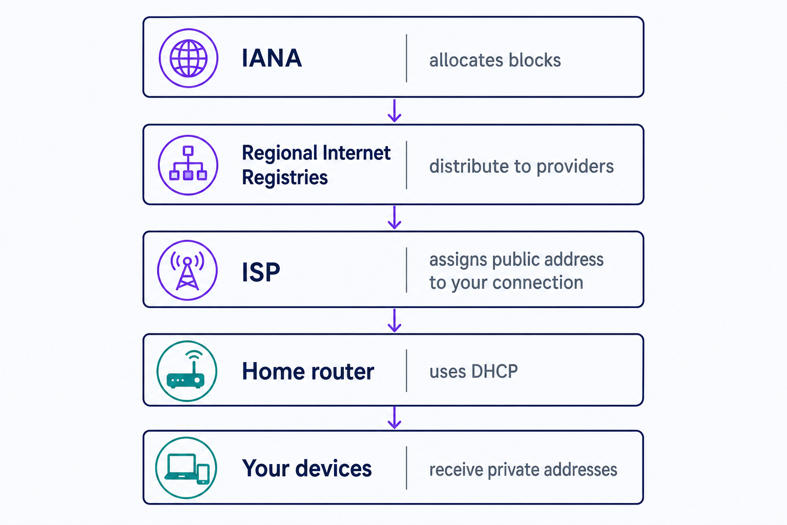 A top-down chain showing how IP addresses are delegated: IANA allocates address blocks to regional internet registries, which distribute them to ISPs; the ISP assigns a public address to your connection, and your home router uses DHCP to hand each device a private address. It shows that addresses flow down through delegation rather than being chosen by the device.