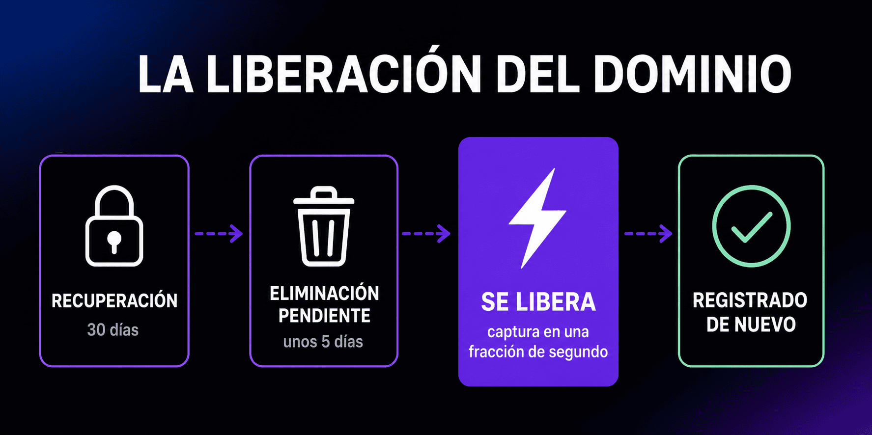 Cronología de la liberación de un dominio: tras 30 días de recuperación y unos 5 días de eliminación pendiente, el operador libera el nombre y un servicio puede capturarlo en una fracción de segundo para registrarlo de nuevo.