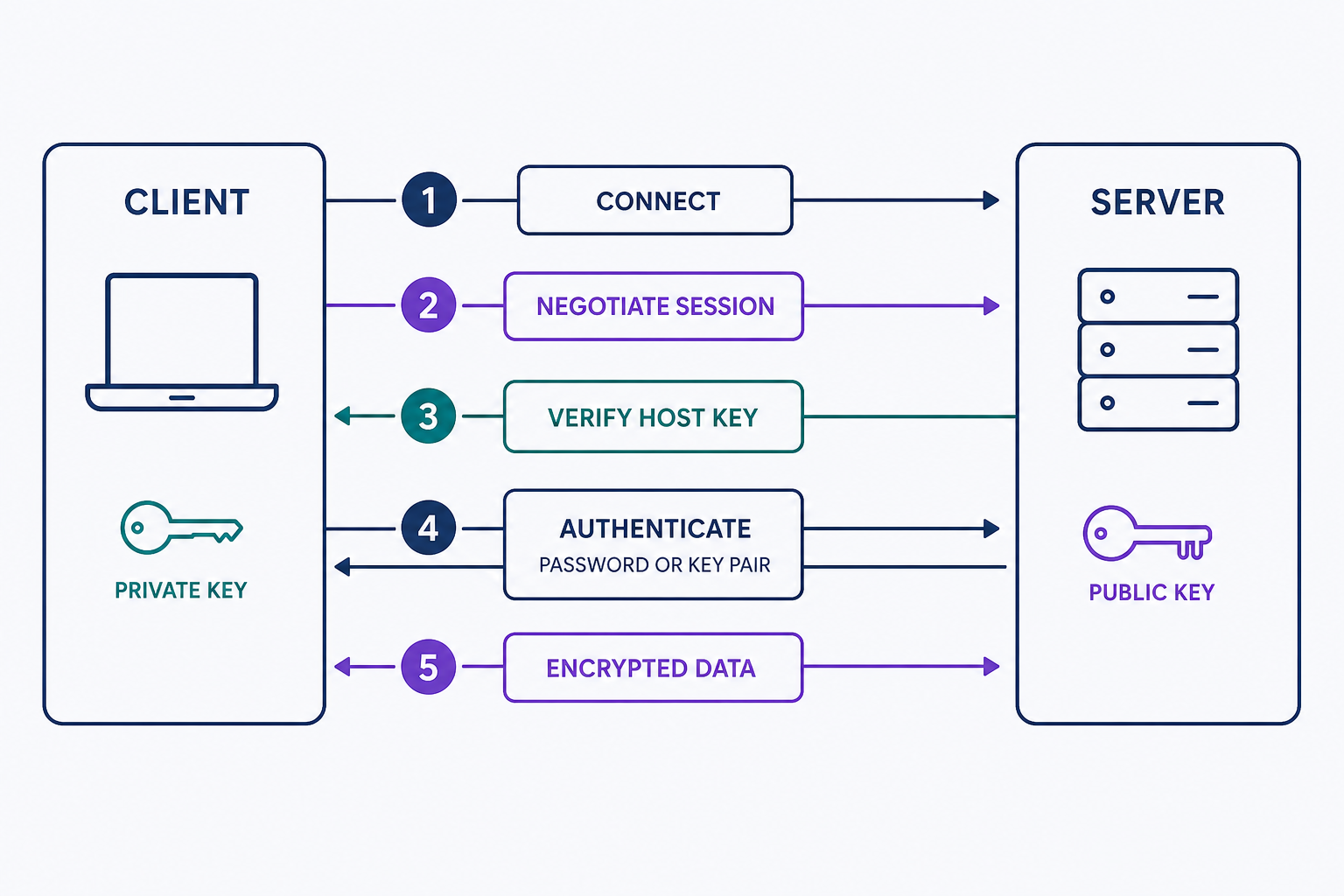 Flow diagram of an SSH connection between a client and a server: the client connects, the two negotiate an encrypted session, the client verifies the server's host key fingerprint, the user authenticates with a password or key pair, and only then do commands and responses travel over the encrypted channel.