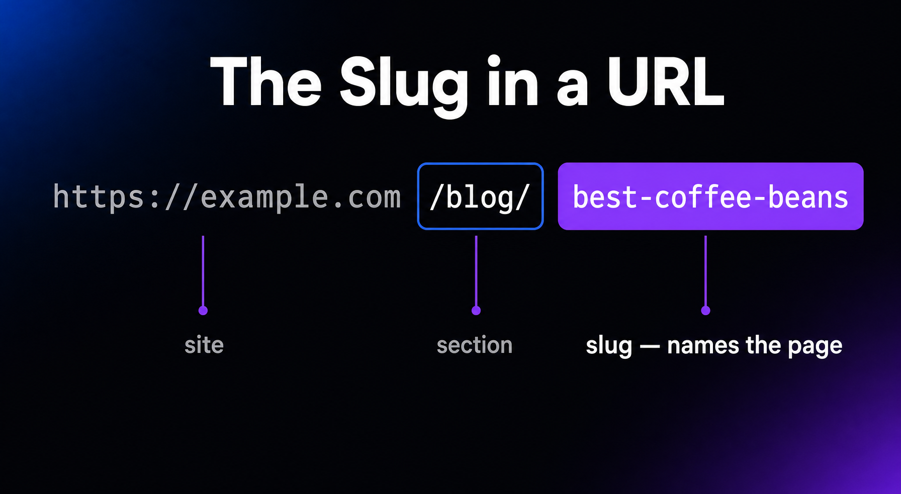 URL anatomy highlighting the slug: in https://example.com/blog/best-coffee-beans, the final segment best-coffee-beans is the slug, the human-readable name of the page.