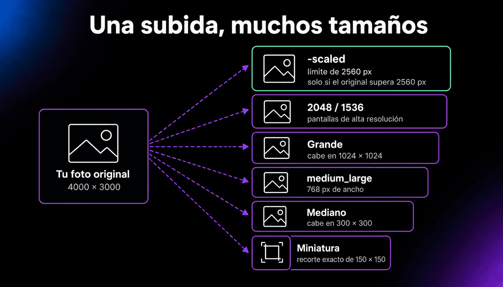 Diagrama de las copias que WordPress crea a partir de una foto de 4000 × 3000: una versión -scaled limitada a 2560 px, copias de 2048 y 1536, Grande de hasta 1024 × 1024, medium_large de 768 px de ancho, Mediano de hasta 300 × 300 y Miniatura con recorte exacto de 150 × 150.