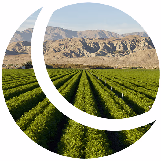 DreamHost green hosting and sustainability