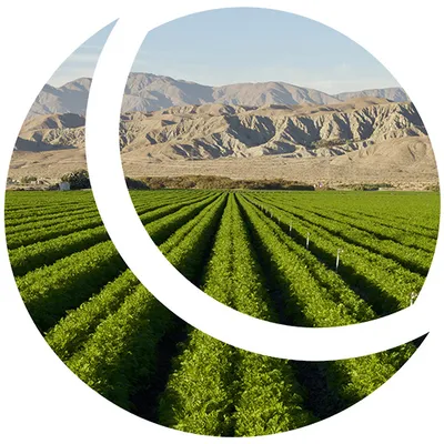 DreamHost green hosting and sustainability
