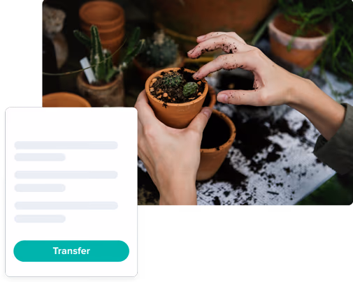 Abstract example of transferring domain and UI mockup