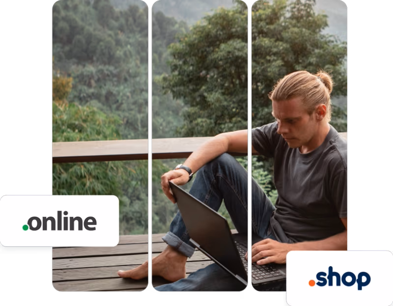 Man working on laptop in nature and domain tags