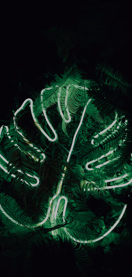 dh image