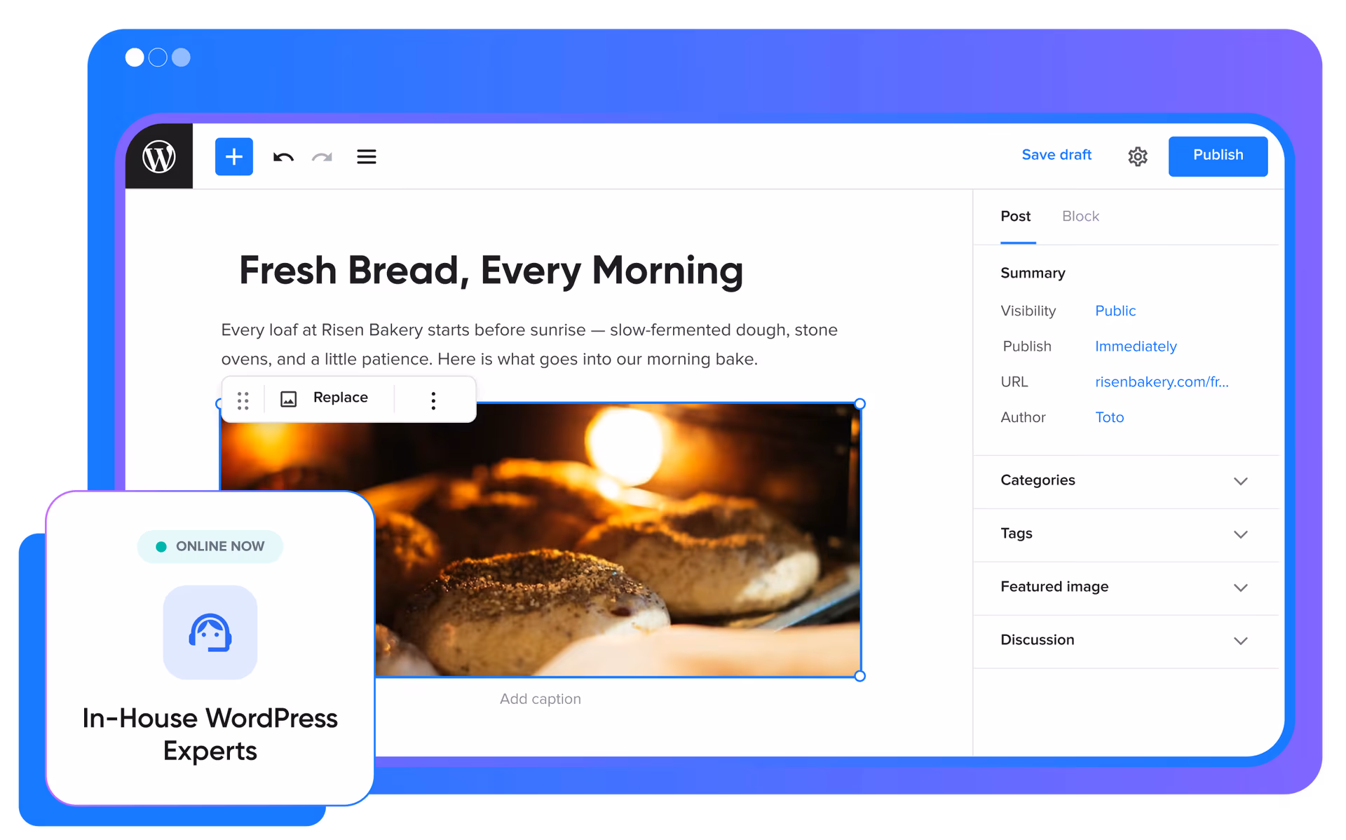 Dashboard di WordPress Hosting con un pannello di esperti WordPress interni